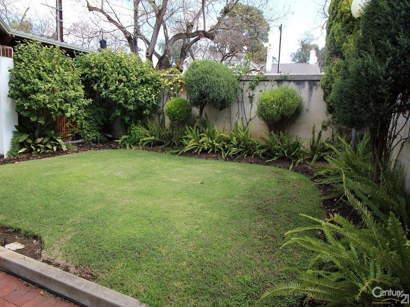 23 Robe Terrace, Medindie SA 5081