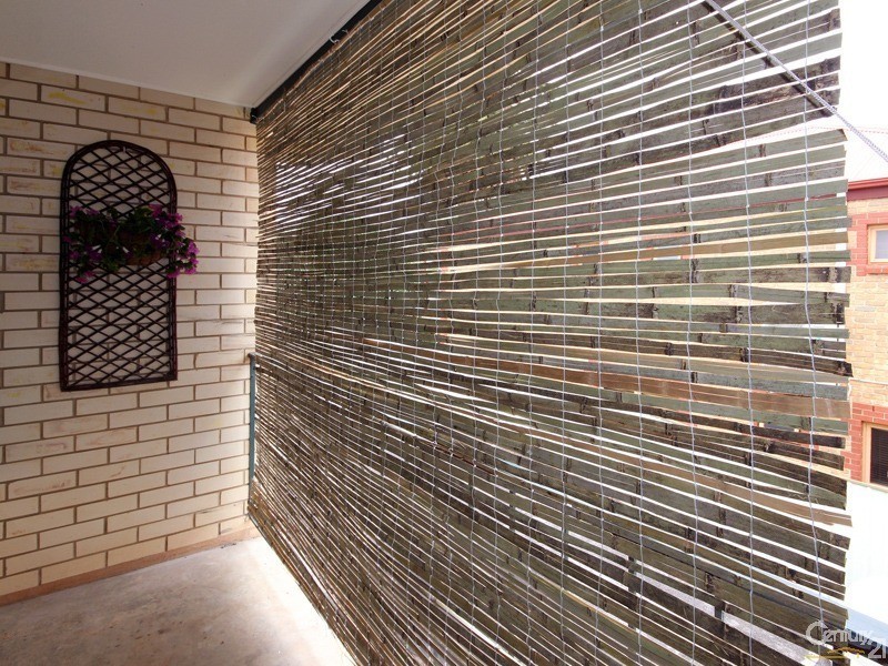 2/313A Young Street, Wayville SA 5034