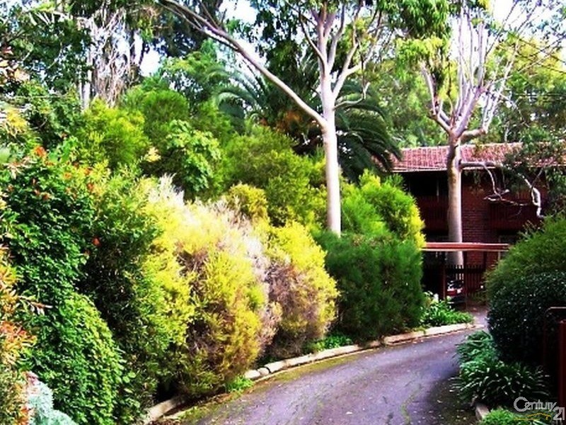 3/36 Trevelyan Street, Wayville SA 5034