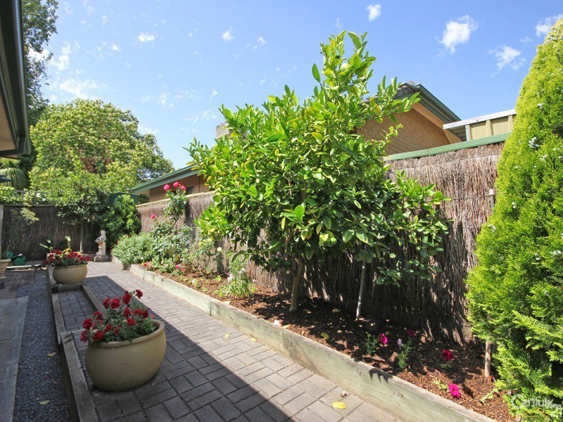 6/242 Cross Road, Kings Park SA 5034
