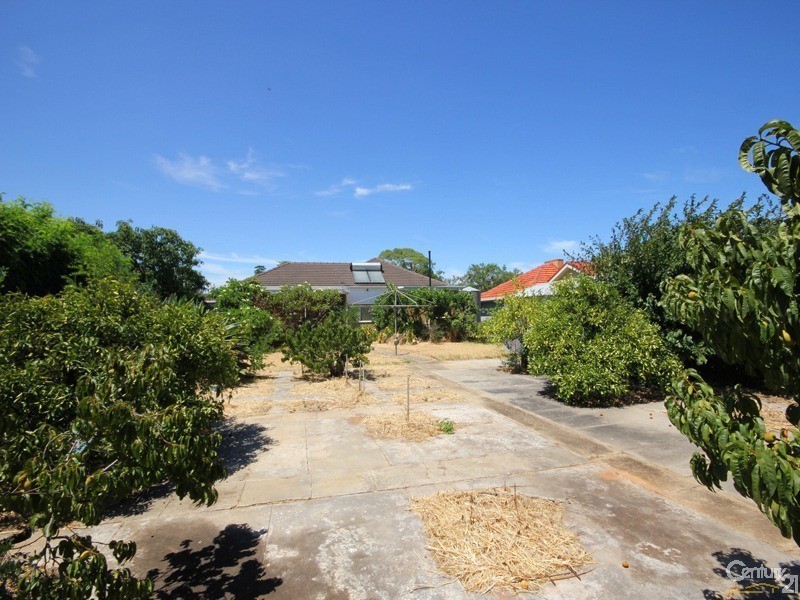 12 Lavinia Street, Hove SA 5048