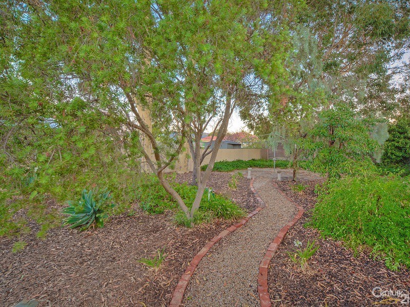 45 Ormond Avenue, Daw Park SA 5041