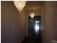 50 Torrens Road, Lockleys SA 5032
