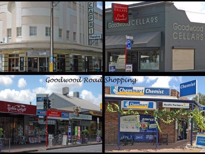 21 Lily Street, Goodwood SA 5034