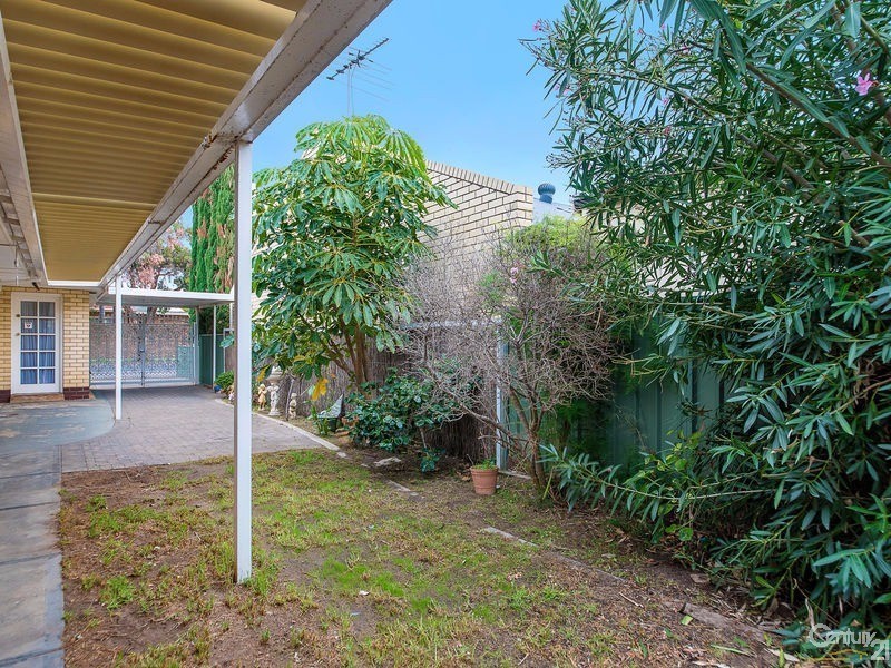 46 Whyte Street, Somerton Park SA 5044