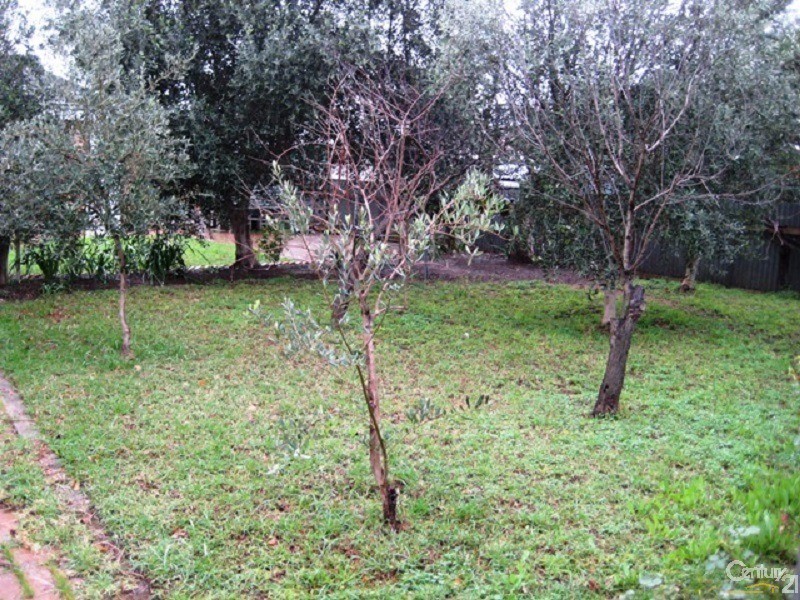 41 Thurles Street, St Marys SA 5042