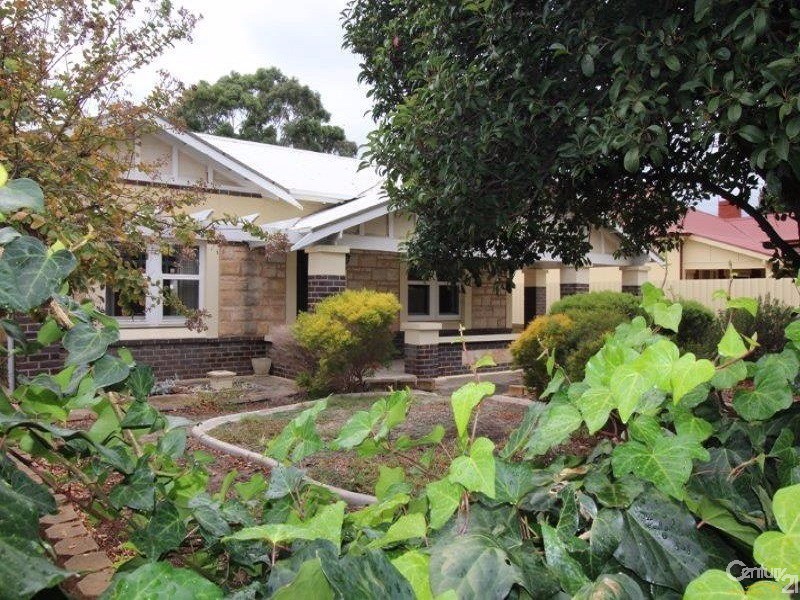 66 Dudley Avenue, Daw Park SA 5041