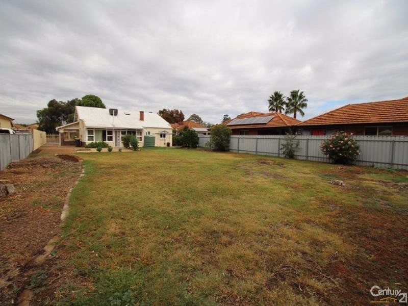 66 Dudley Avenue, Daw Park SA 5041