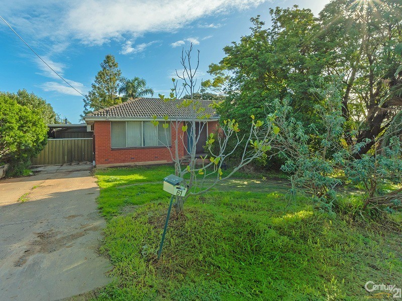 61 Young Street, Reynella SA 5161