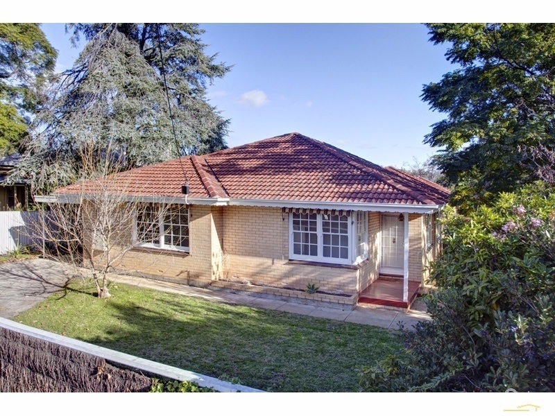 54 Harrow Road, College Park SA 5069