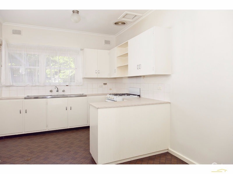 54 Harrow Road, College Park SA 5069