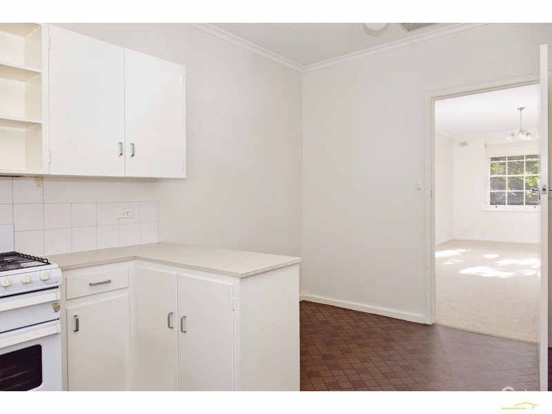 54 Harrow Road, College Park SA 5069