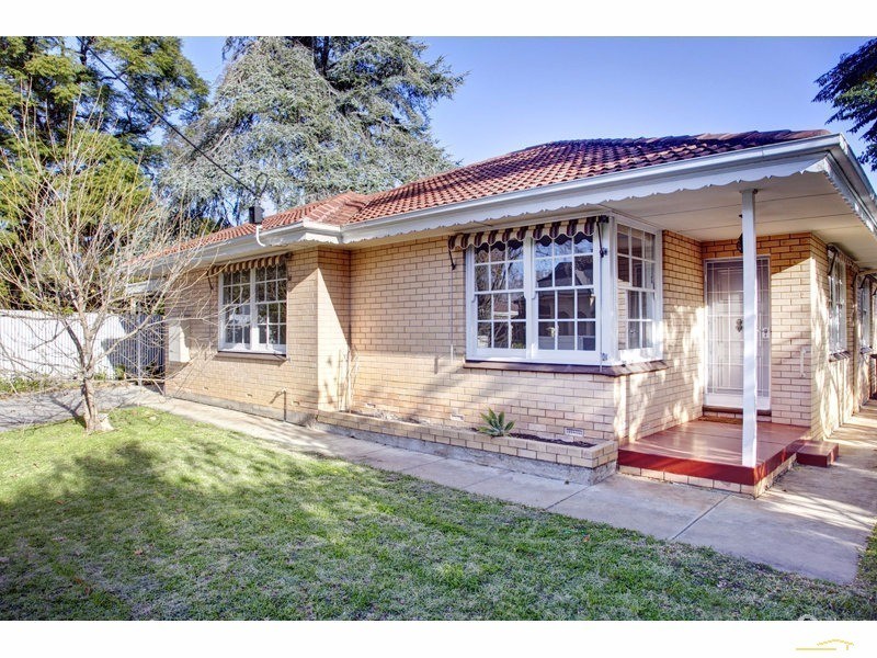 54 Harrow Road, College Park SA 5069
