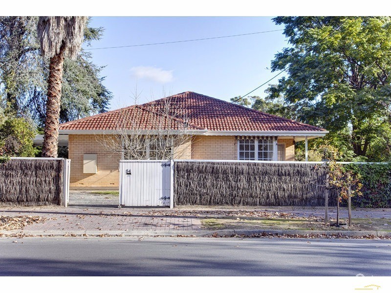 54 Harrow Road, College Park SA 5069