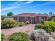 6 Bristol Avenue, Camden Park SA 5038