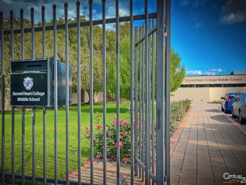 55 Scottish Avenue, Clovelly Park SA 5042