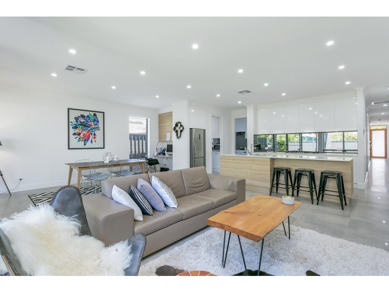 13 Browning Avenue, Plympton Park SA 5038