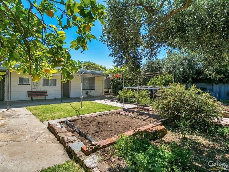 5 Ada Street, Goodwood SA 5034