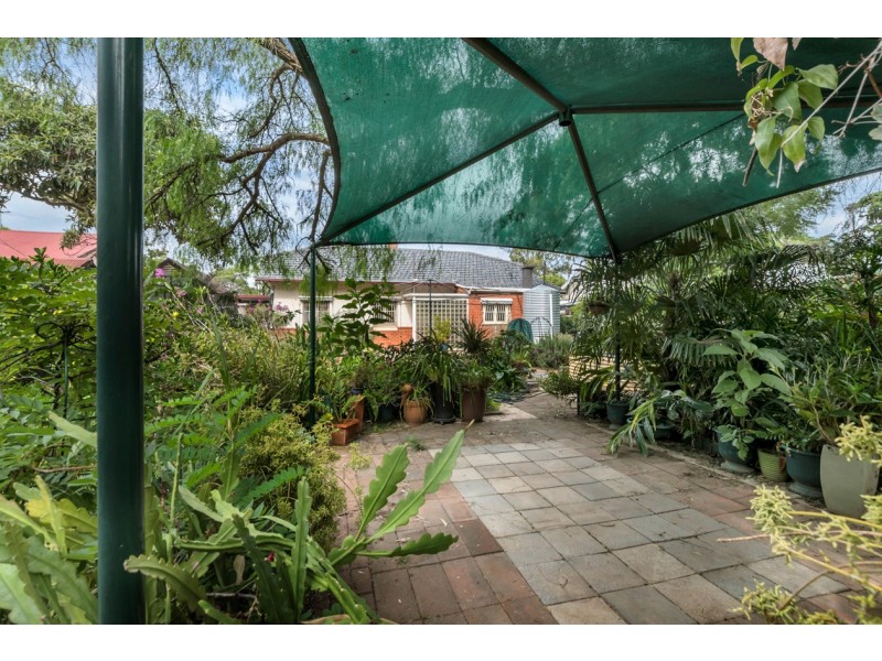 18 Cranbrook Avenue, Millswood SA 5034