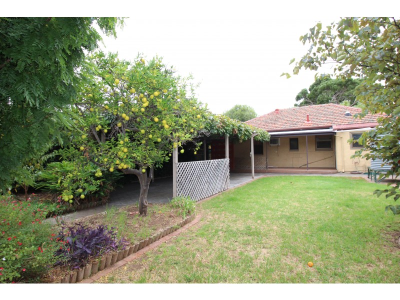 18 Day Avenue, Daw Park SA 5041