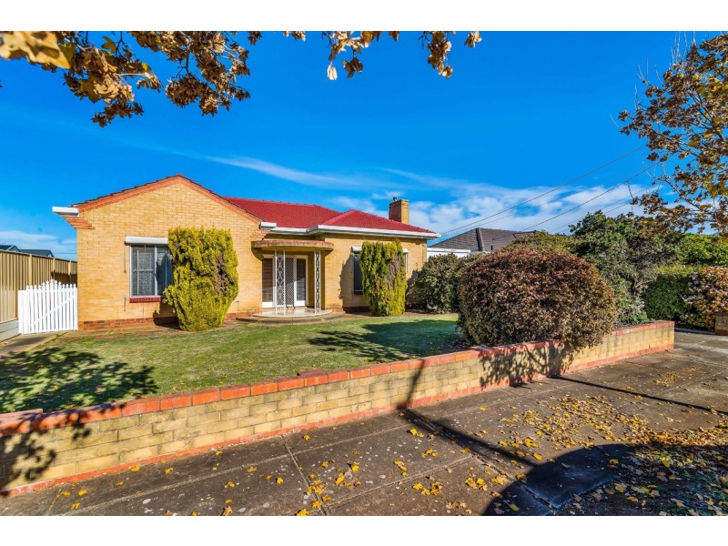 5 Brook Avenue, Plympton SA 5038