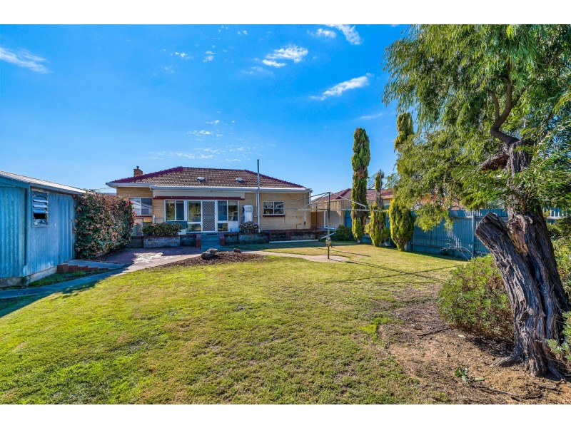 5 Brook Avenue, Plympton SA 5038