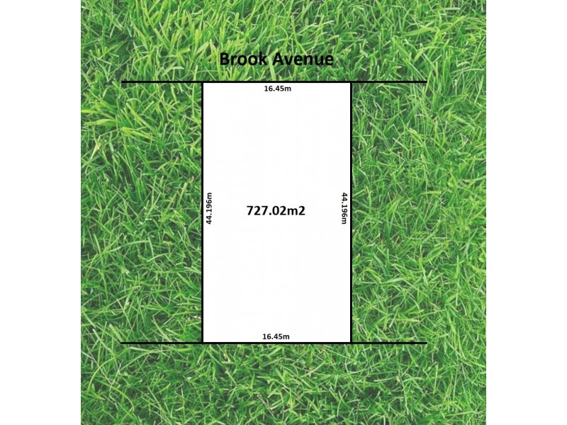 5 Brook Avenue, Plympton SA 5038