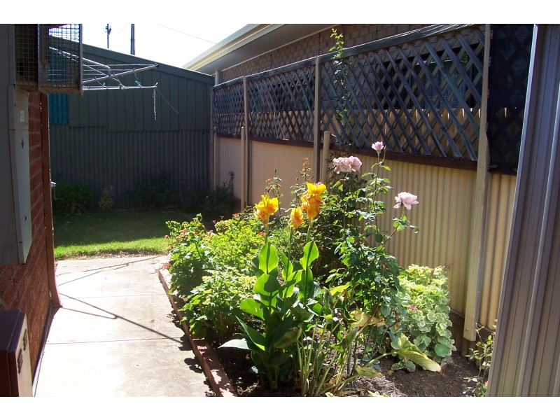 3/29 Ormond Avenue, Daw Park SA 5041