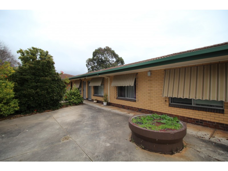 3/47 Ormond Avenue, Daw Park SA 5041