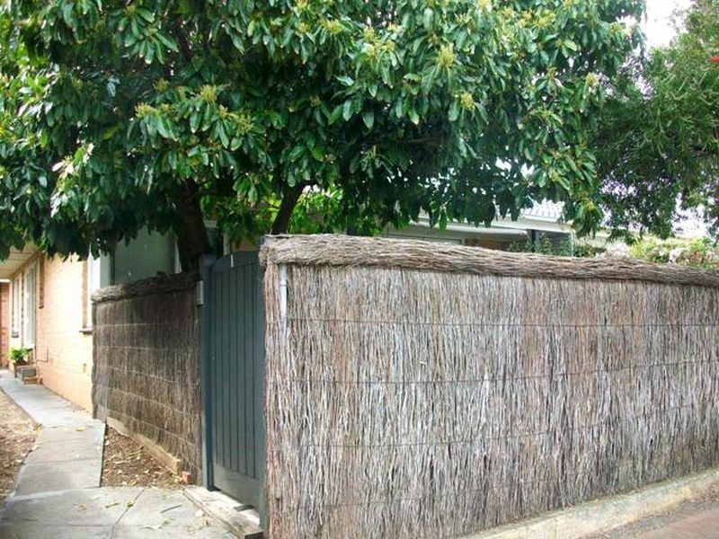 3/7a Nelson Street, Fullarton SA 5063