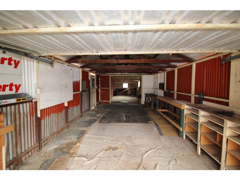 97 Cliff Street, Glengowrie SA 5044