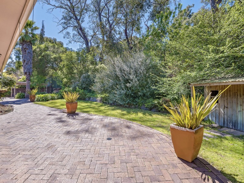 3 Linfield Avenue, Belair SA 5052