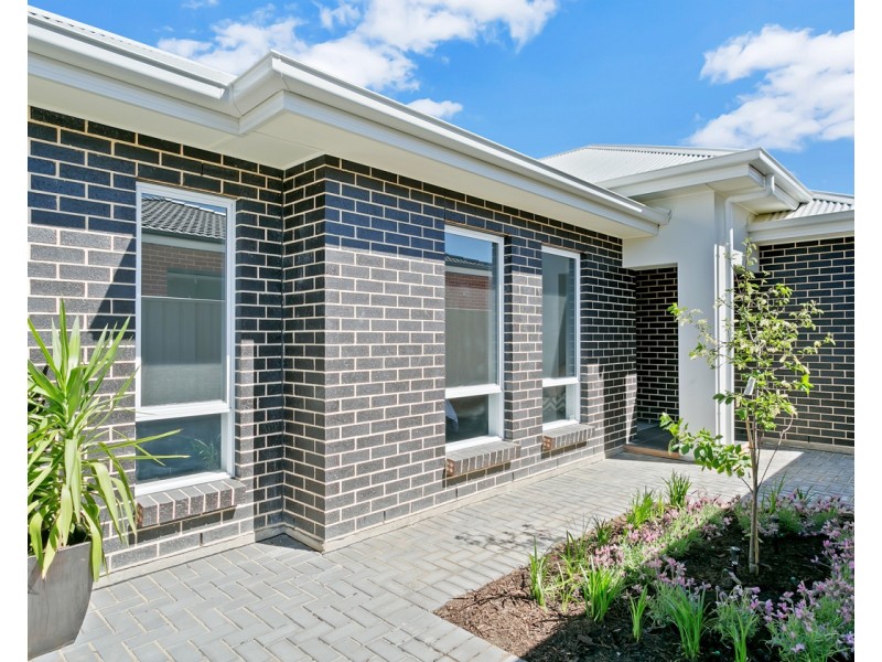 2C Coles Street, Plympton Park SA 5038