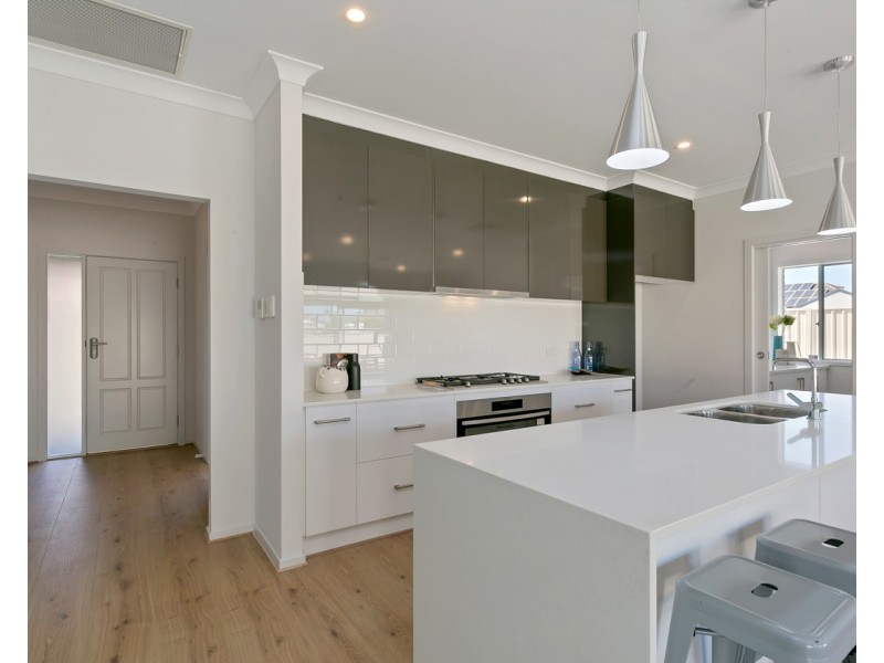 2C Coles Street, Plympton Park SA 5038