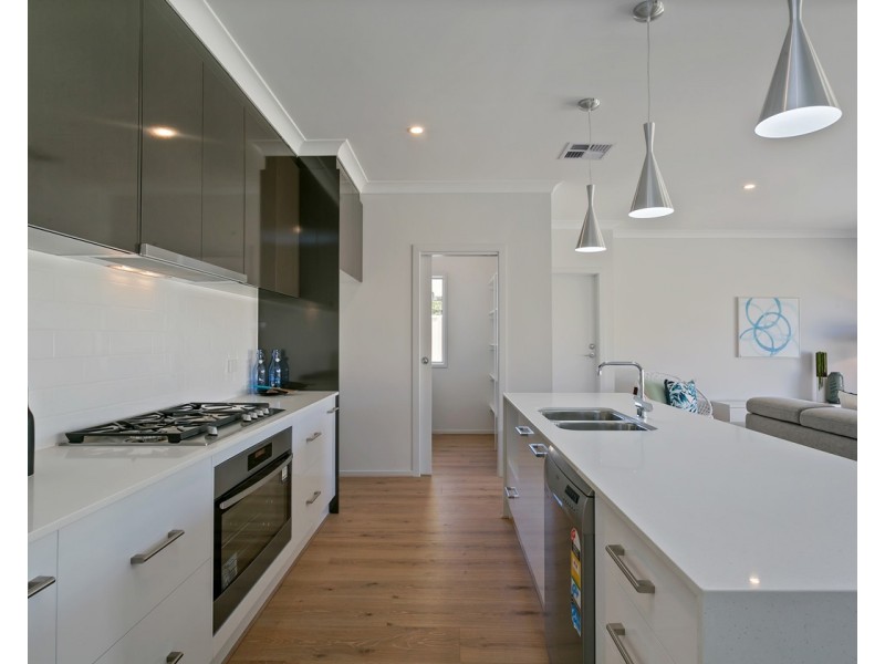 2C Coles Street, Plympton Park SA 5038