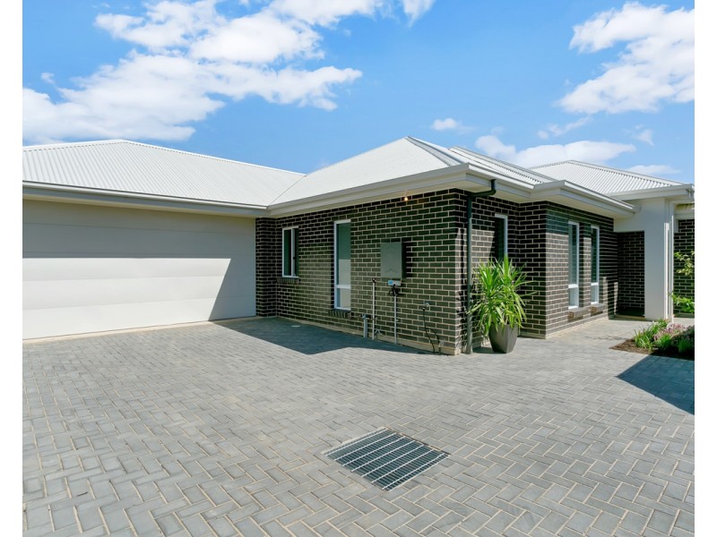 2C Coles Street, Plympton Park SA 5038