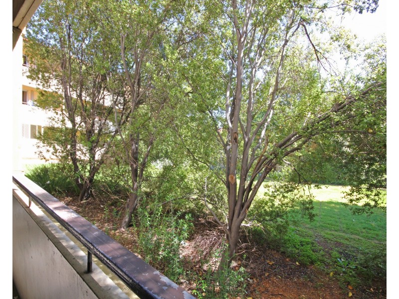 2/311 Young Street, Wayville SA 5034