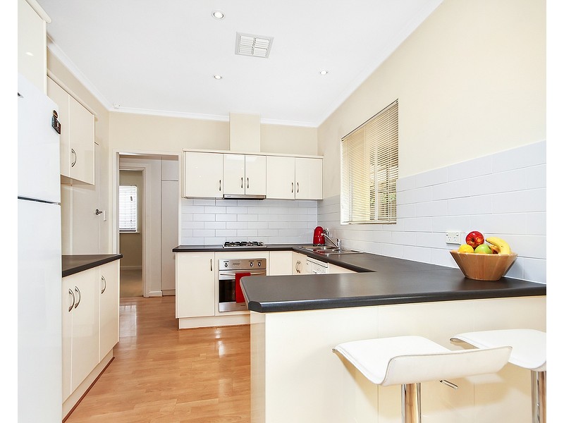 66 Avenue Road, Paradise SA 5075