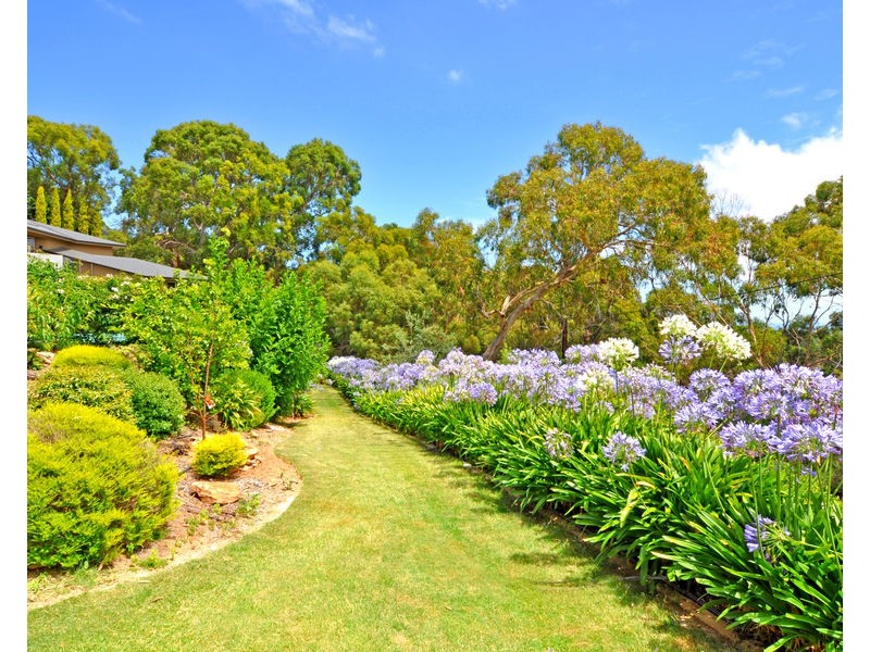 15 Bishop Street, Skye SA 5072