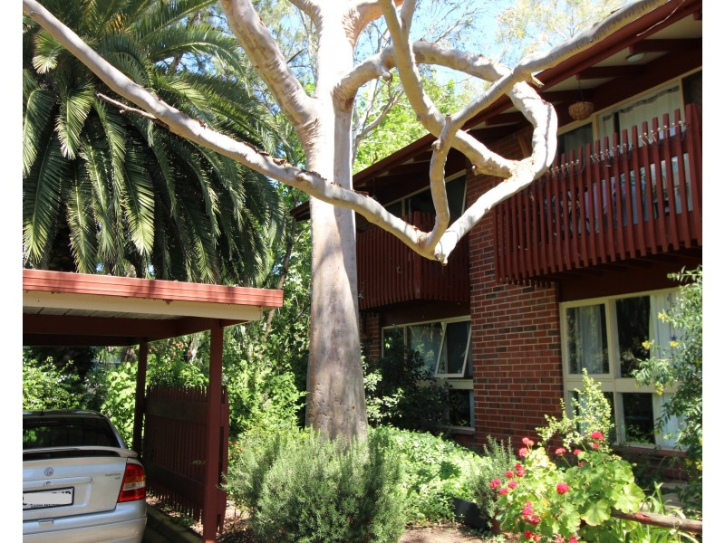 1/36  Trevelyan Street, Wayville SA 5034