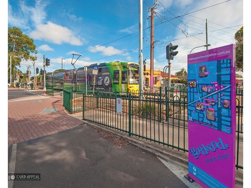 3 Almond Street, Goodwood SA 5034