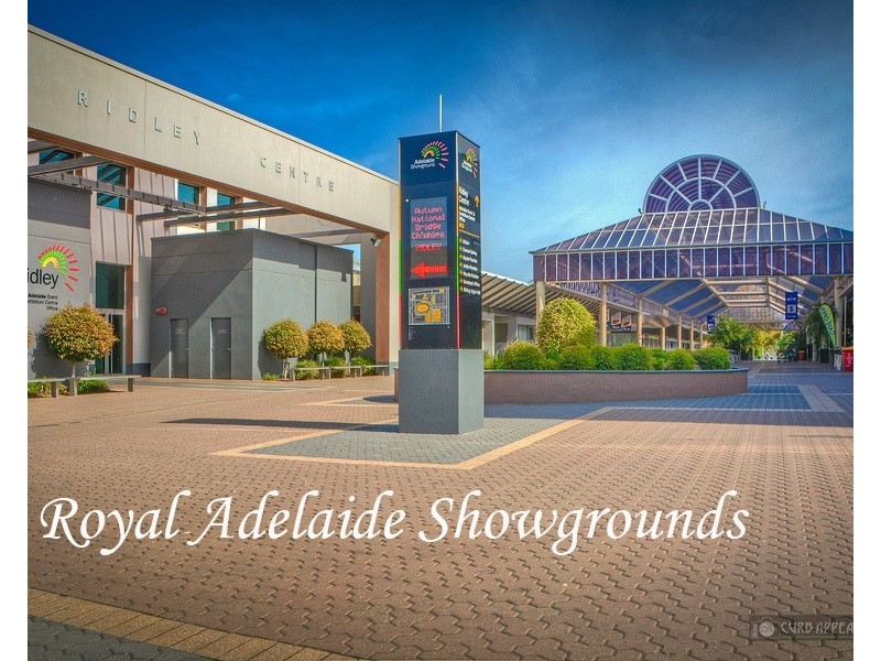 3 Almond Street, Goodwood SA 5034