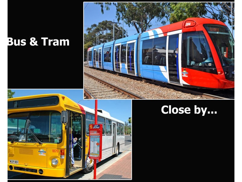 6/19 Florence Street, Goodwood SA 5034