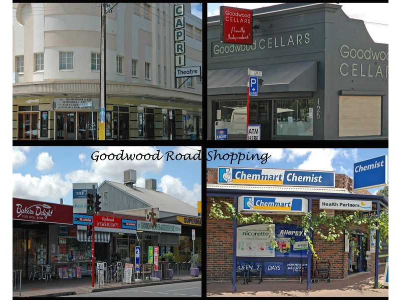 6/19 Florence Street, Goodwood SA 5034