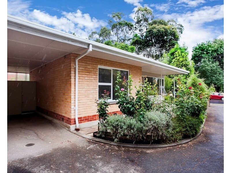 4/1 Angas Road, Hawthorn SA 5062