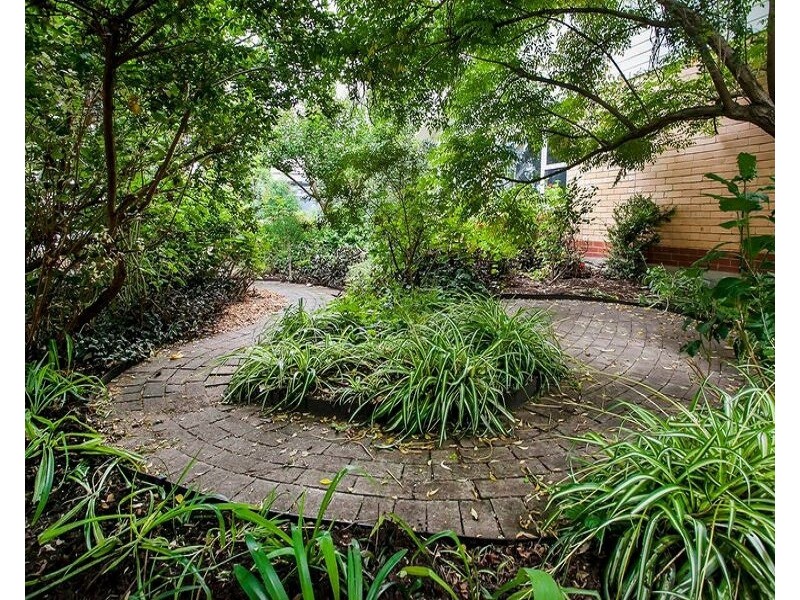 4/1 Angas Road, Hawthorn SA 5062