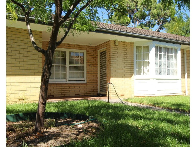 3/48 Miller Street, Unley SA 5061