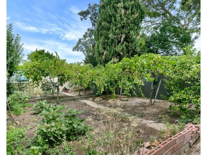 5 Gurr Street, Goodwood SA 5034