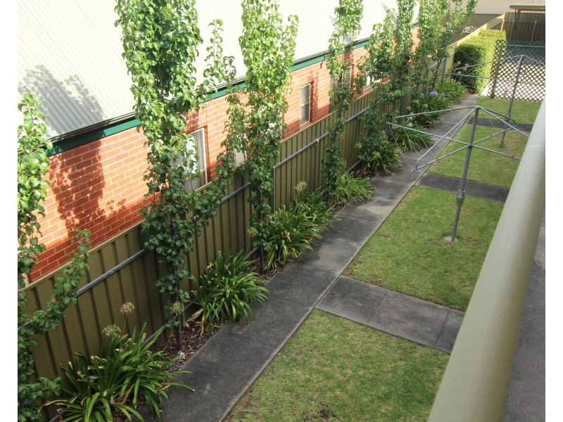 7/34 Roberts Street, Unley SA 5061