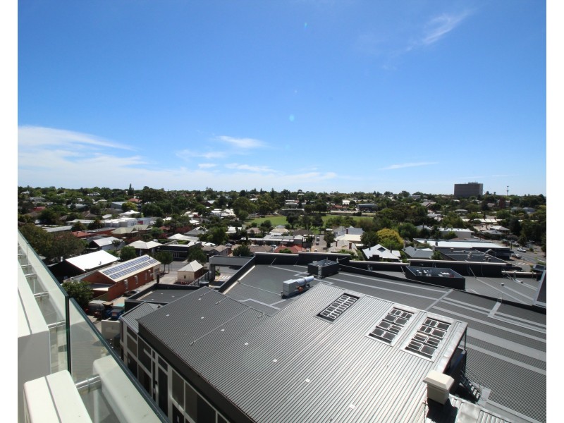 33 Warwick Street, Walkerville SA 5081